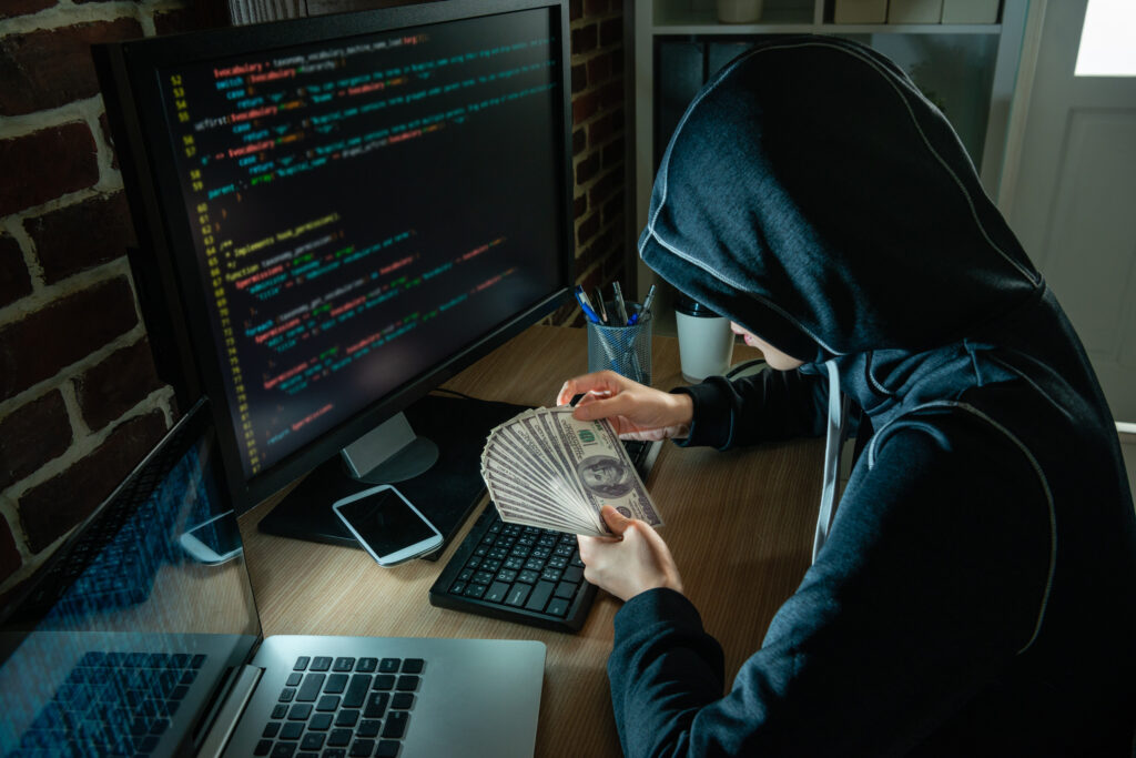 Payment Fraud - The Hidden Enemy in a Digital World
